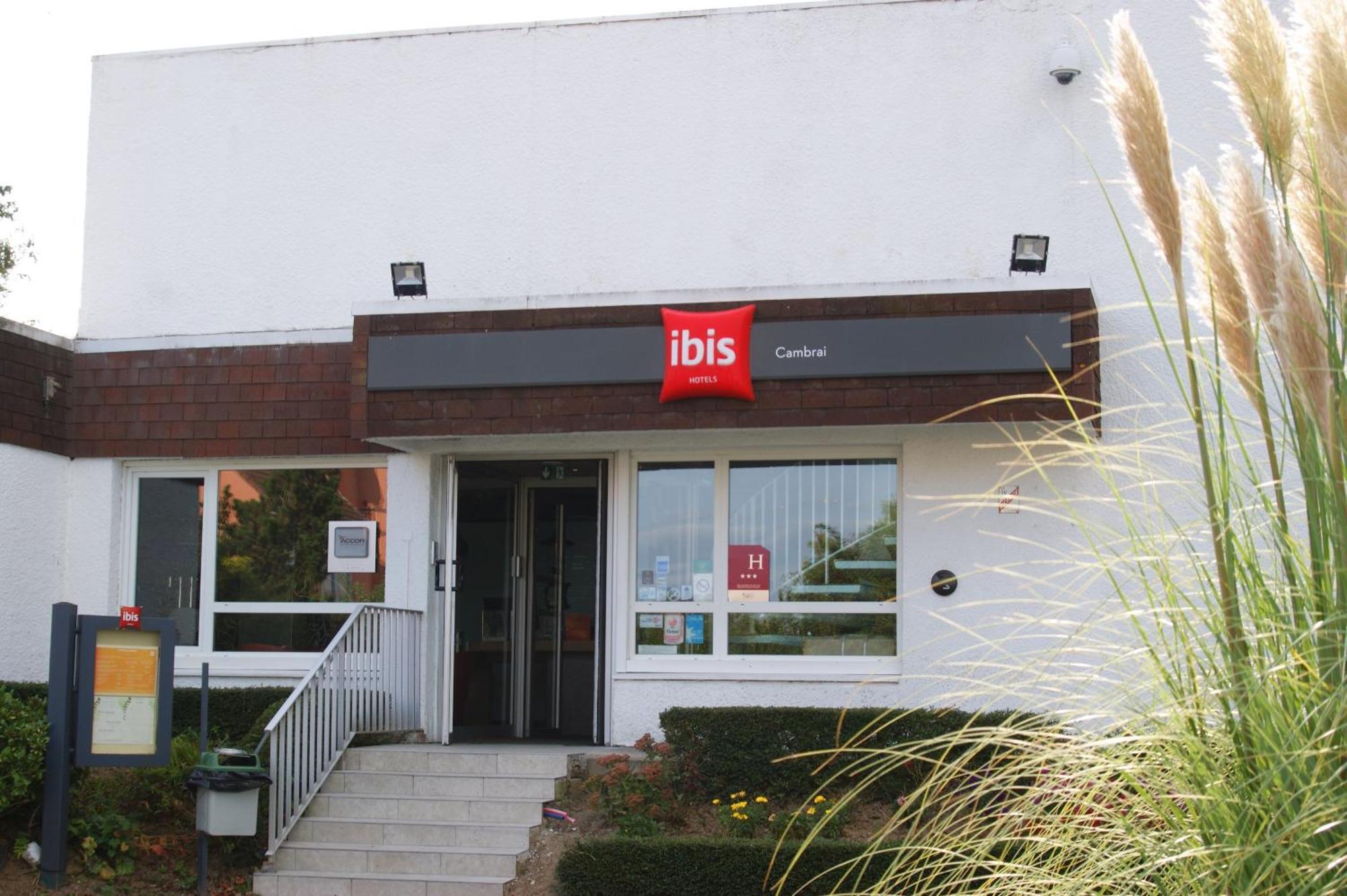 Ibis